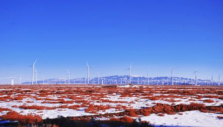 大唐新疆清洁能源公司：打造绿色能源基地